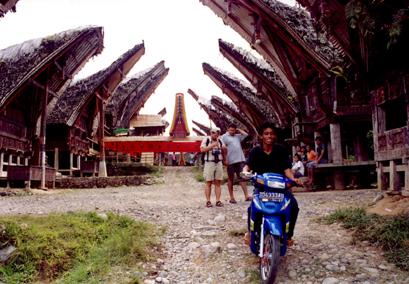 Sulawesi wiszące groby kraj Toradżów