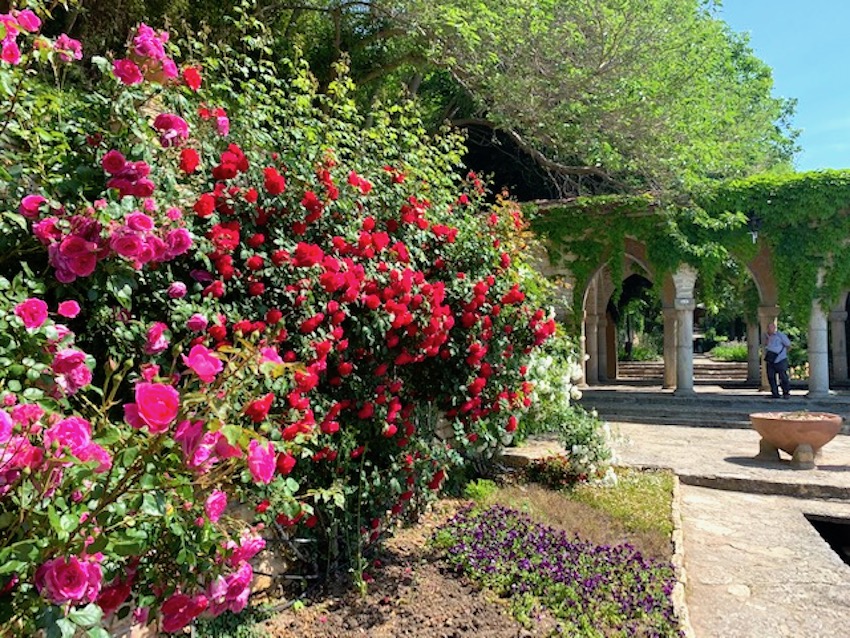 bałczik ogród botaniczny